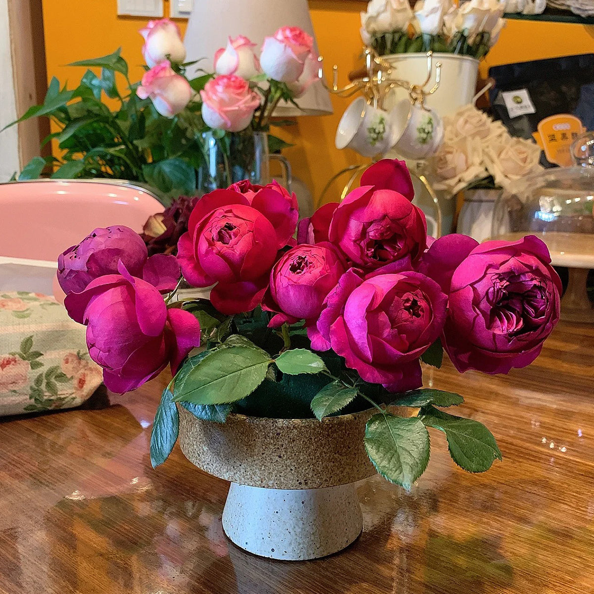 Autumn Rouge Japanese Florist Shrub Rose