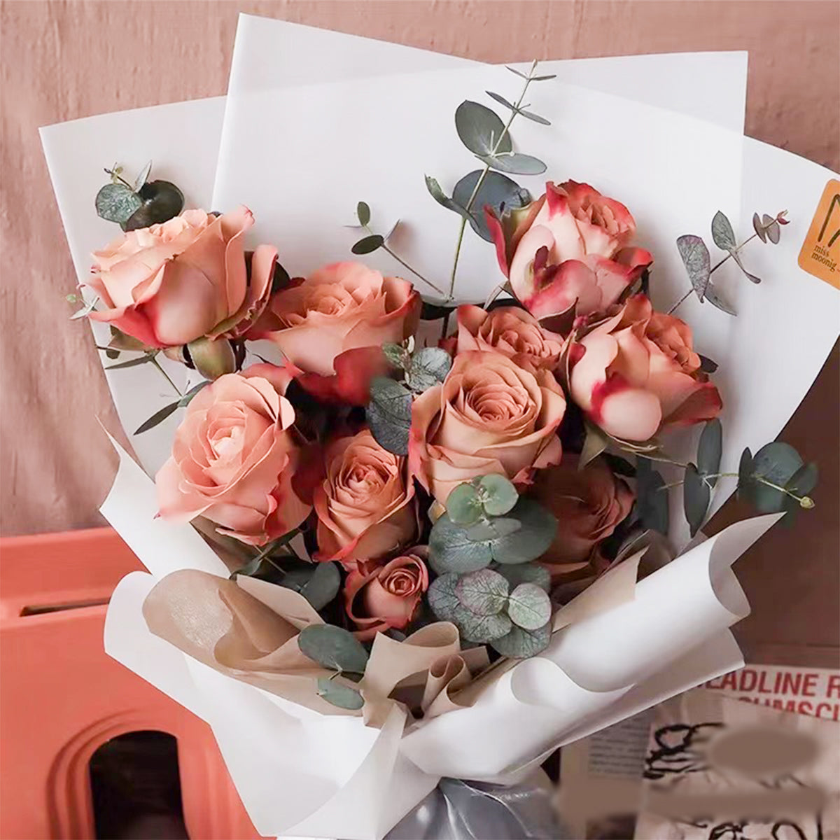 German Florist Shrub Rose Inspired by Cappuccino