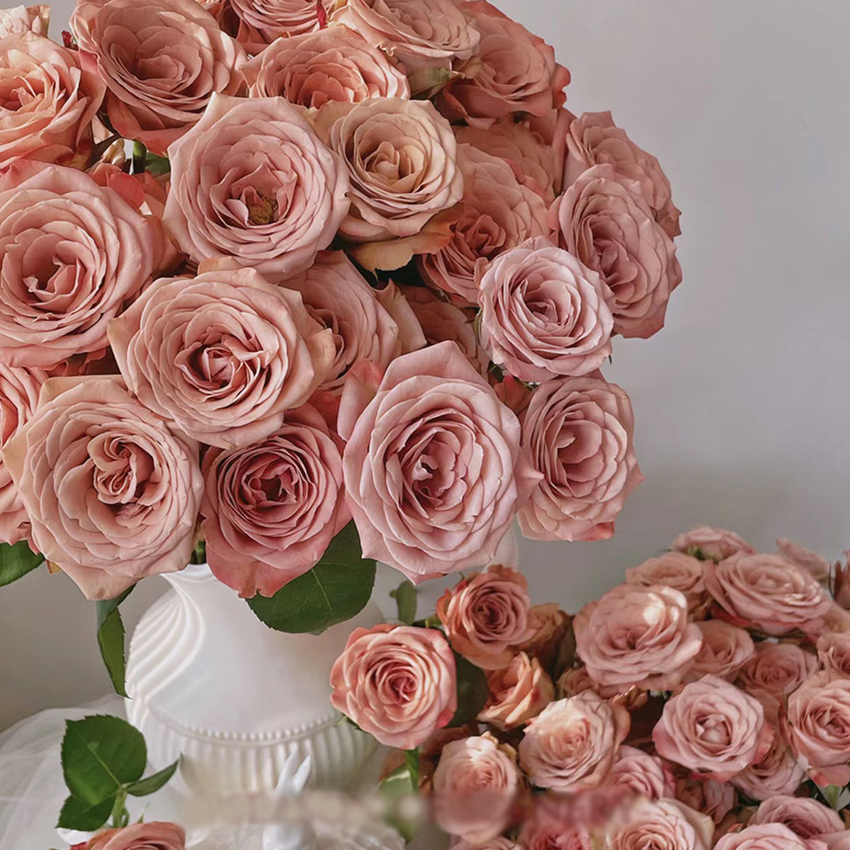German Florist Shrub Rose Inspired by Cappuccino
