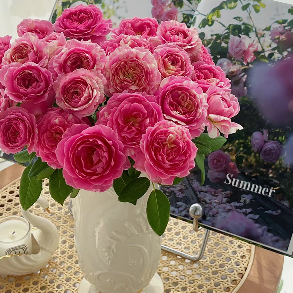 French Garden Shrub Rose Inspired by Claude Monet