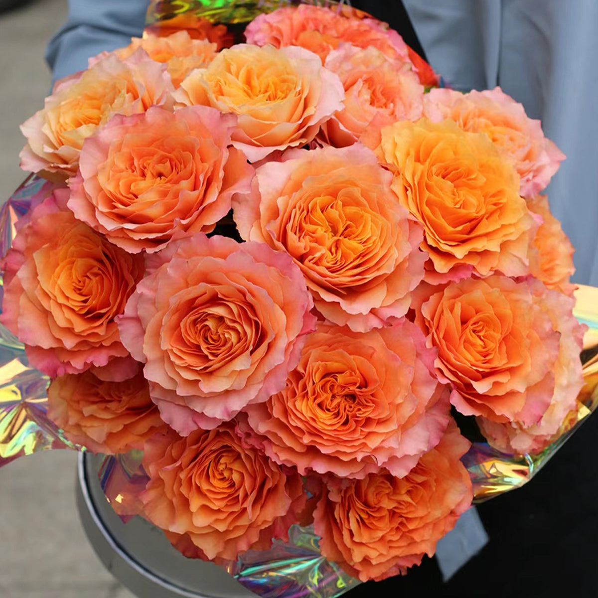 German Florist Shrub Rose Inspired by Free Spirit