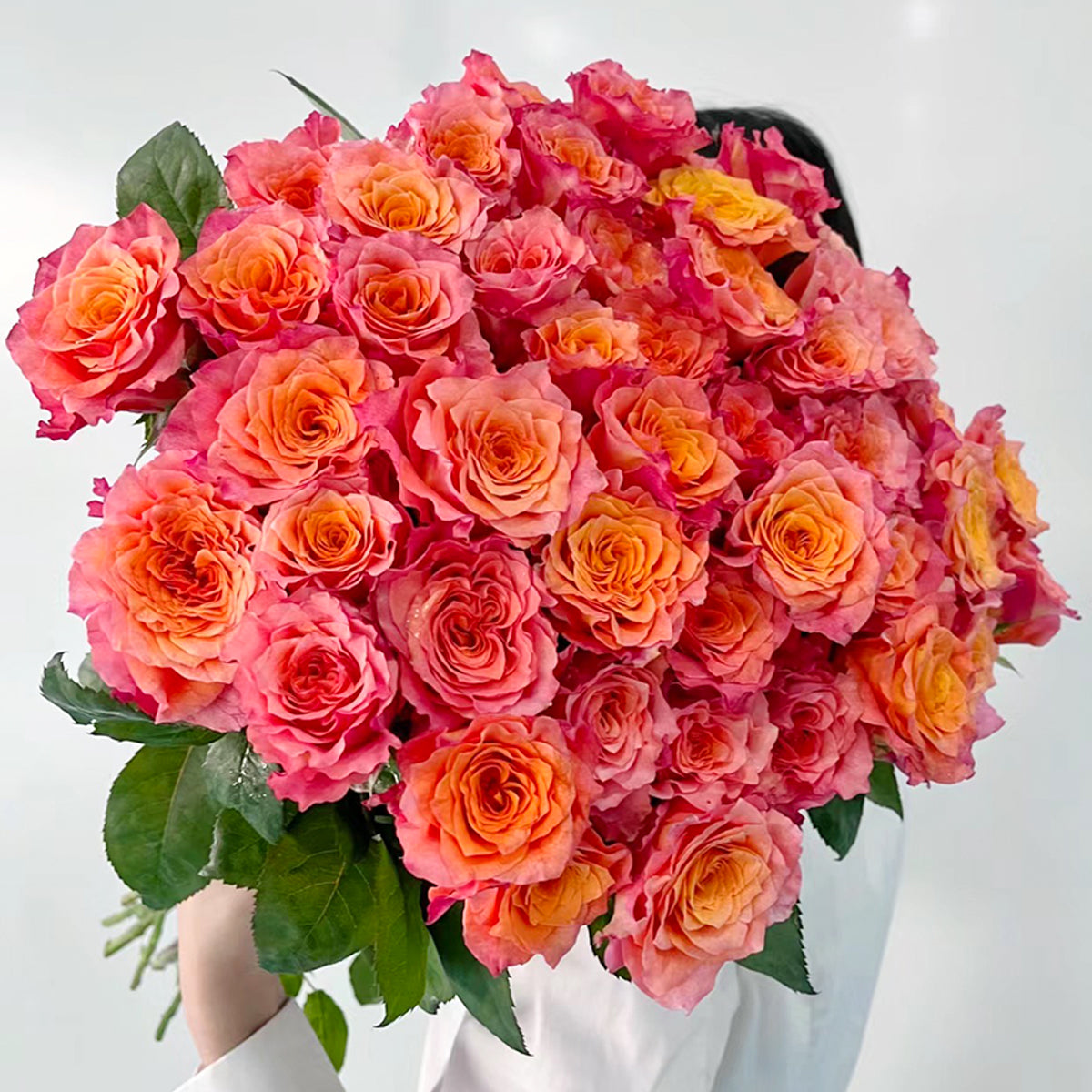 German Florist Shrub Rose Inspired by Free Spirit