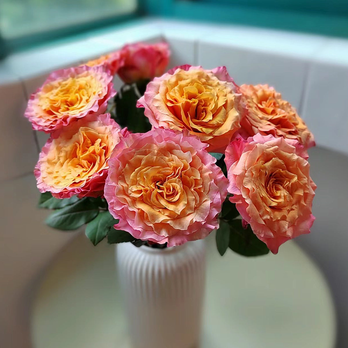 German Florist Shrub Rose Inspired by Free Spirit
