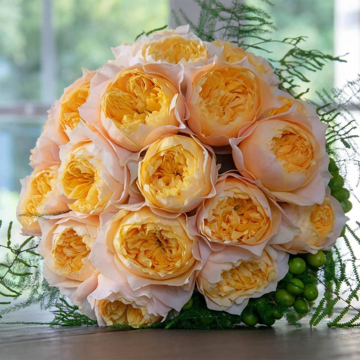 Golden Vuvuzela Dutch Florist Shrub Rose