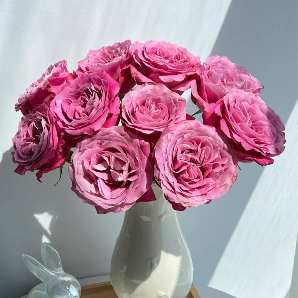 All Four Love Dutch Florist Shrub Rose