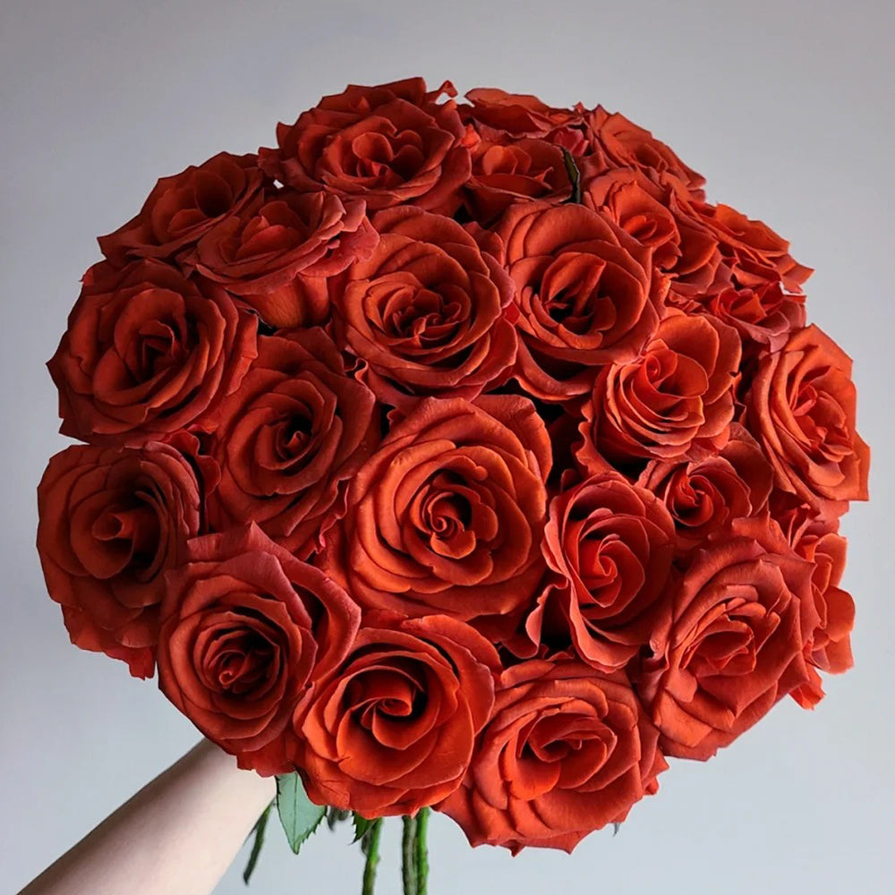 Amaretto Florist Hybrid Tea Rose