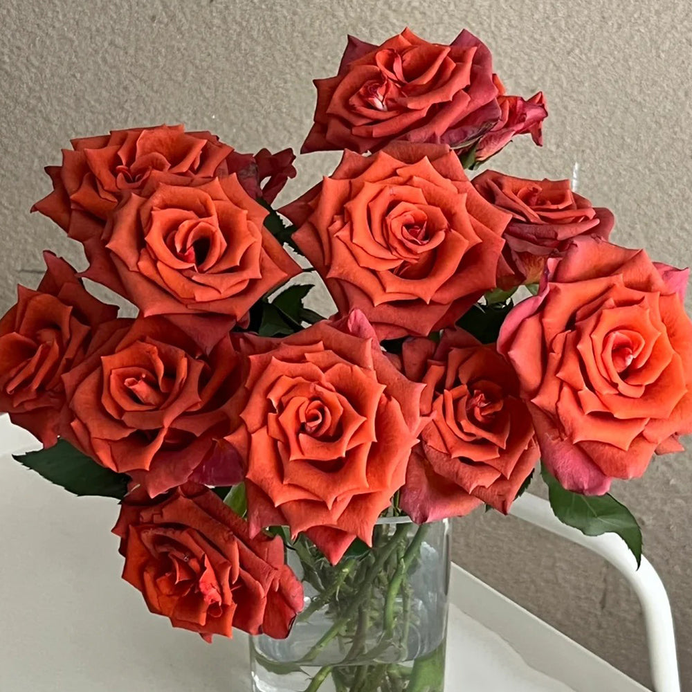 Amaretto Florist Hybrid Tea Rose