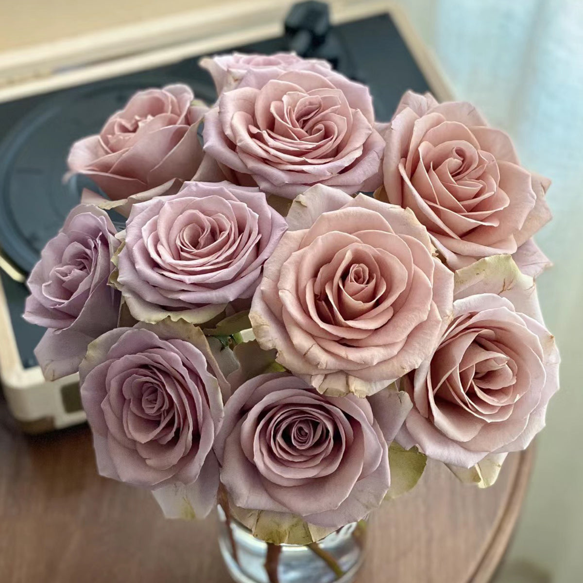French Garden Hybrid Tea Rose Inspired by Amnesia