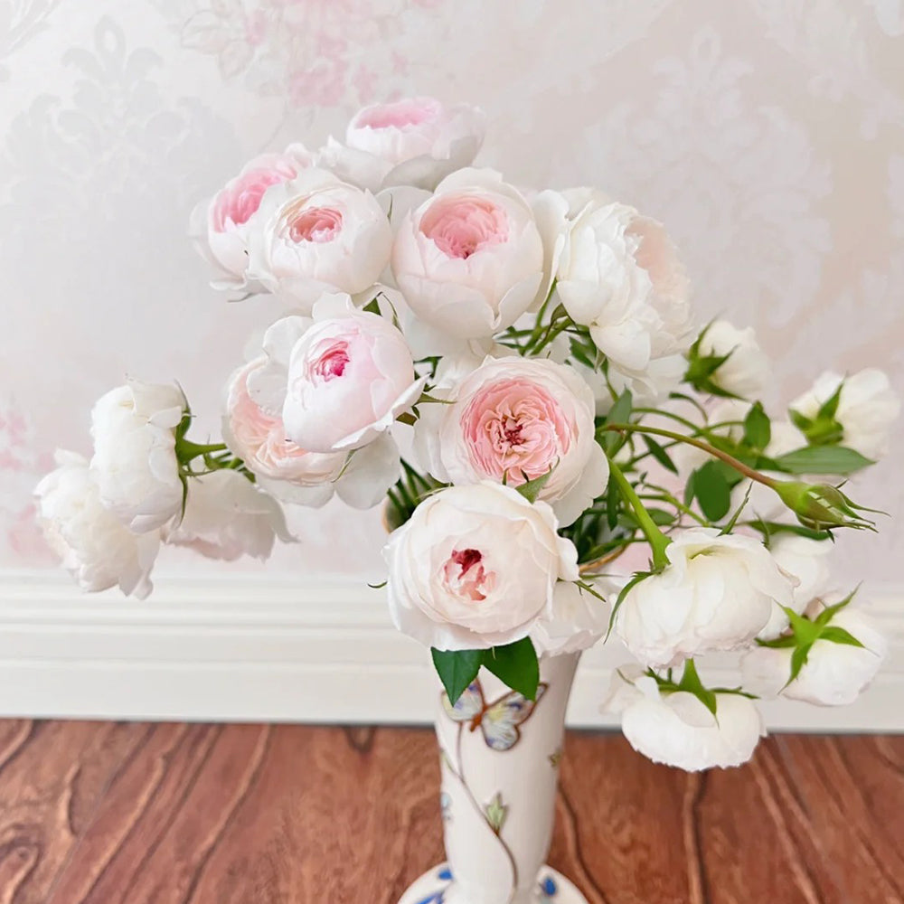 Arietta Japanese Florist Climbing Rose