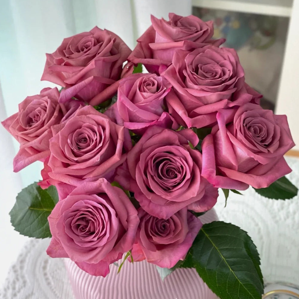 German Florist Hybrid Tea Rose Inspired by Barista