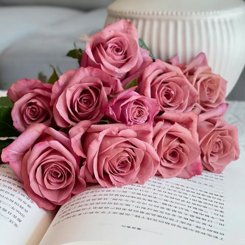 German Florist Hybrid Tea Rose Inspired by Barista