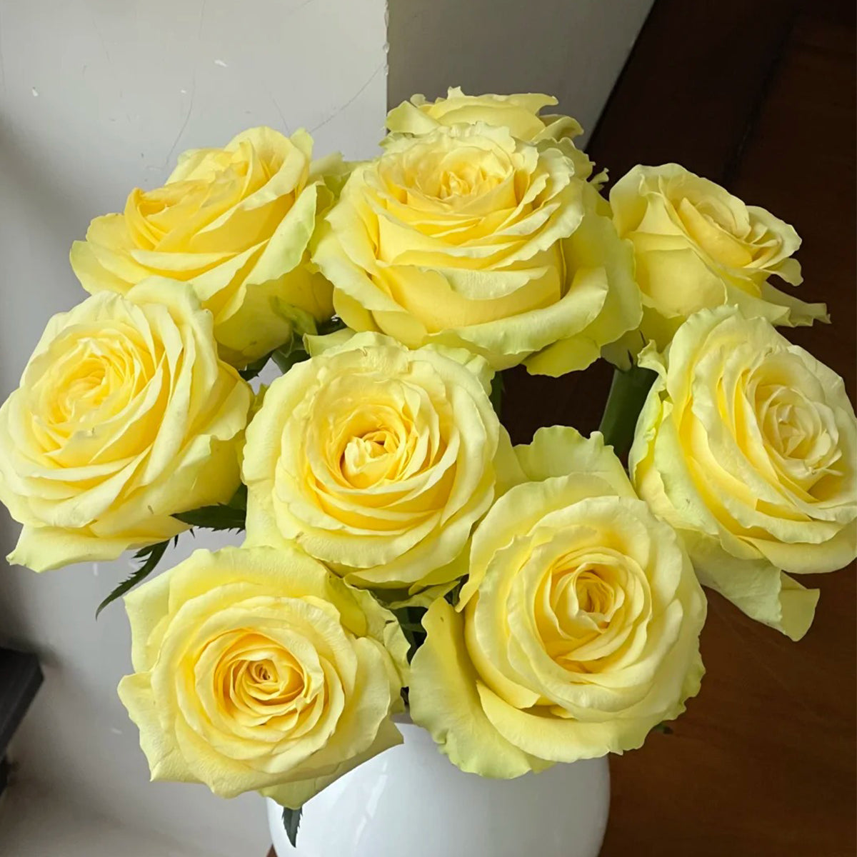Beach Romance Florist Shrub Rose