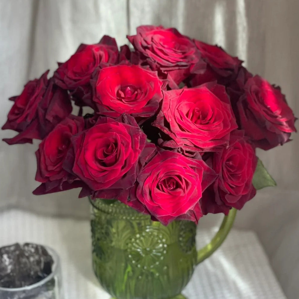 Black Baccara French Florist Shrub Rose