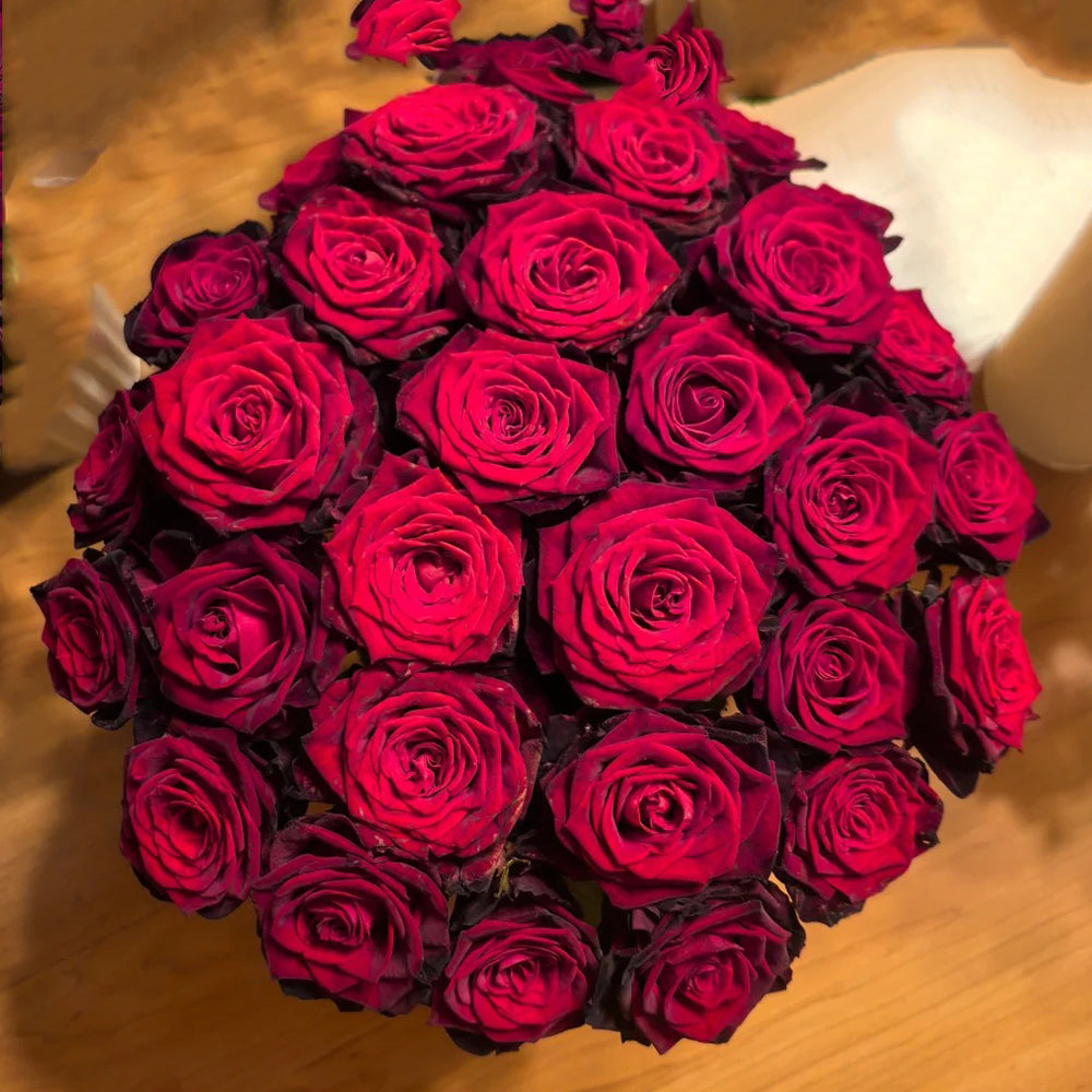 Black Gold French Florist Hybrid Tea Rose