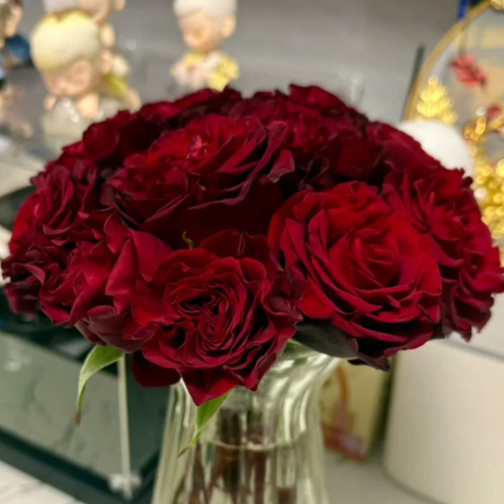 French Florist Shrub Rose Inspired by Black Pearl