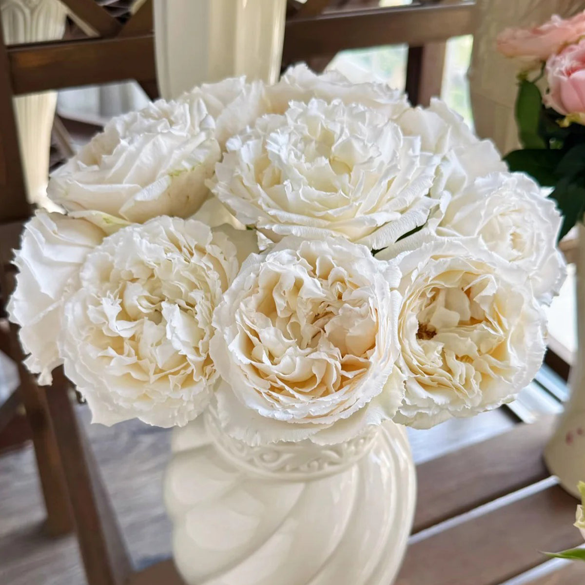 Blanche Neige Japanese Florist Shrub Rose