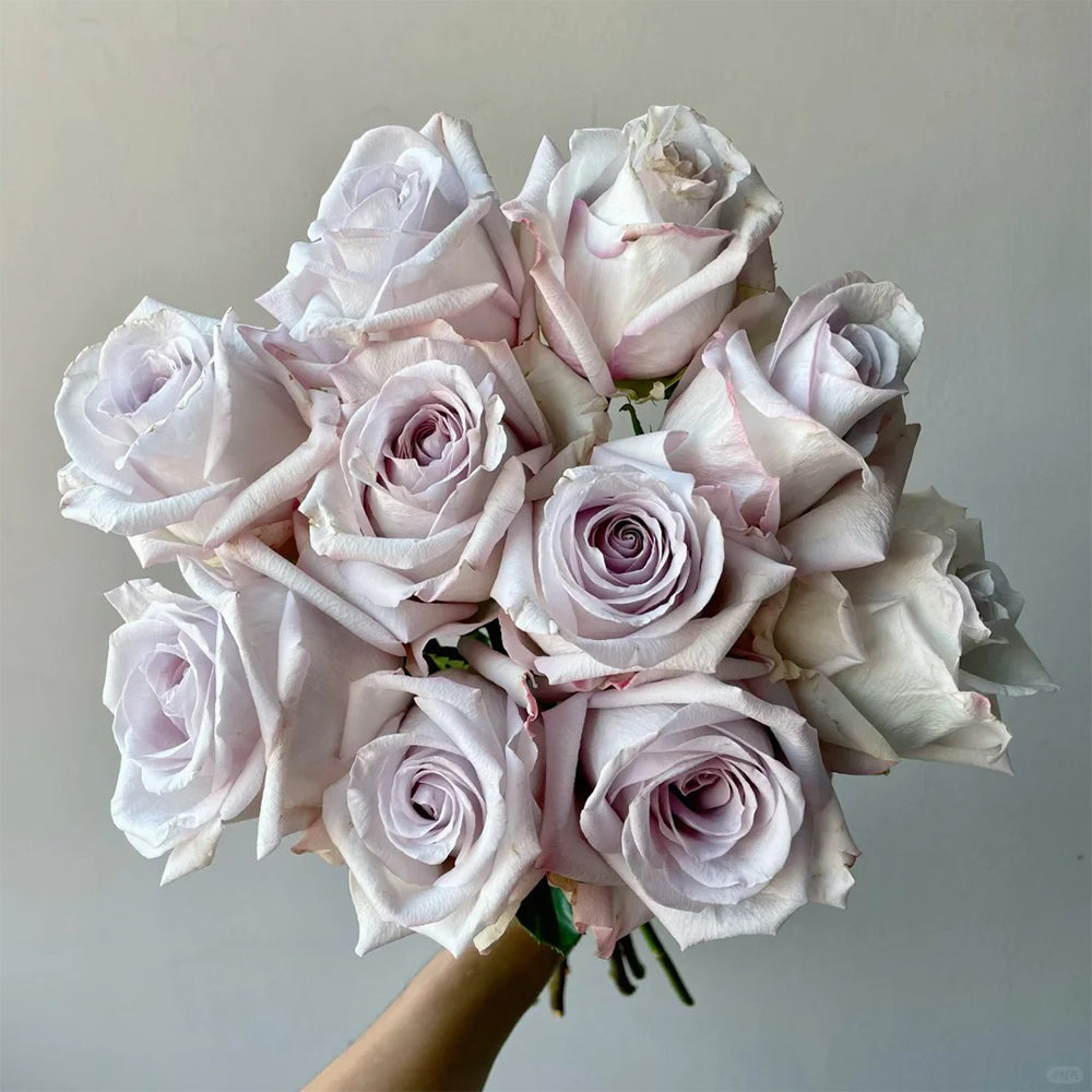 Bounty Way Dutch Florist Shrub Rose