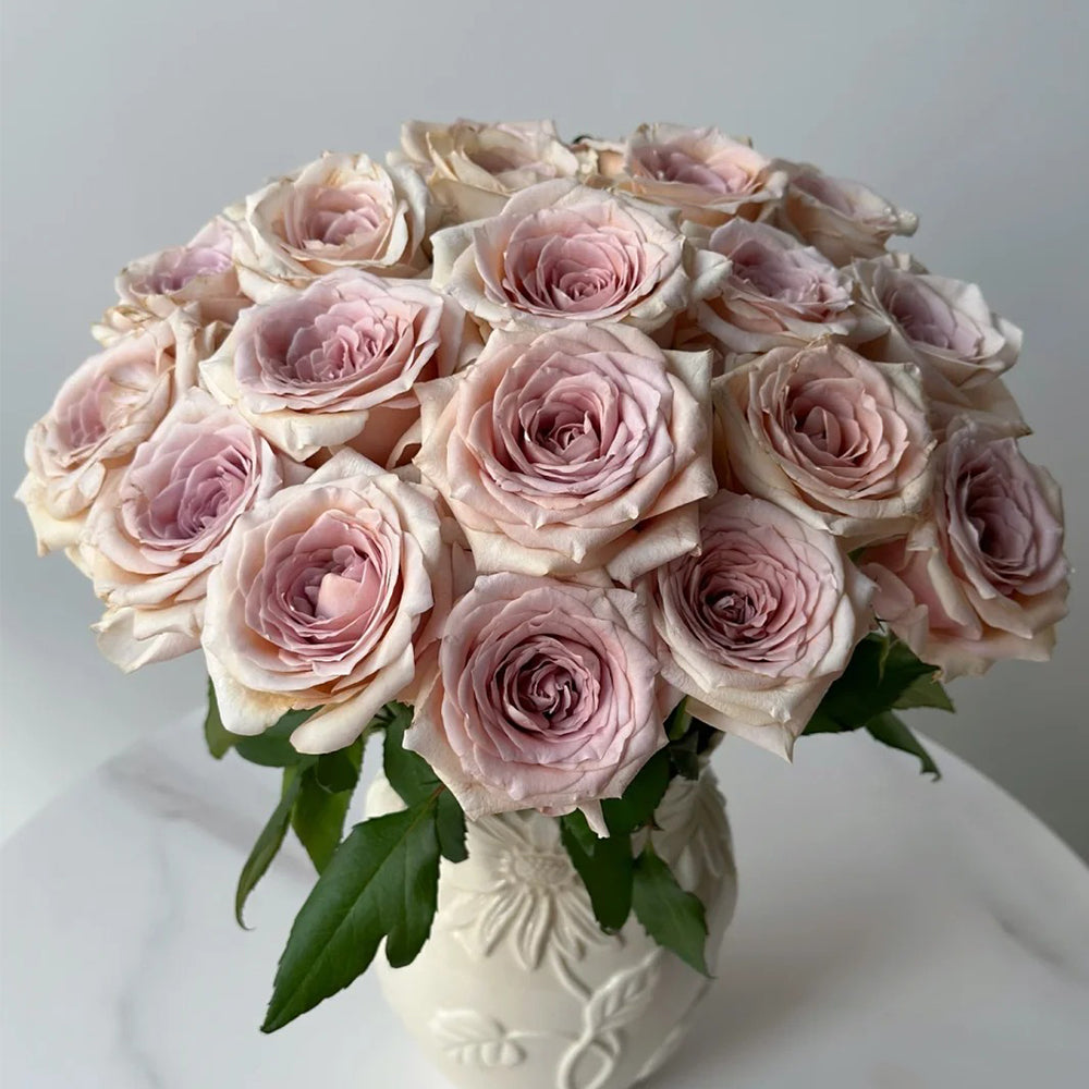 Brut Dutch Florist Shrub Rose