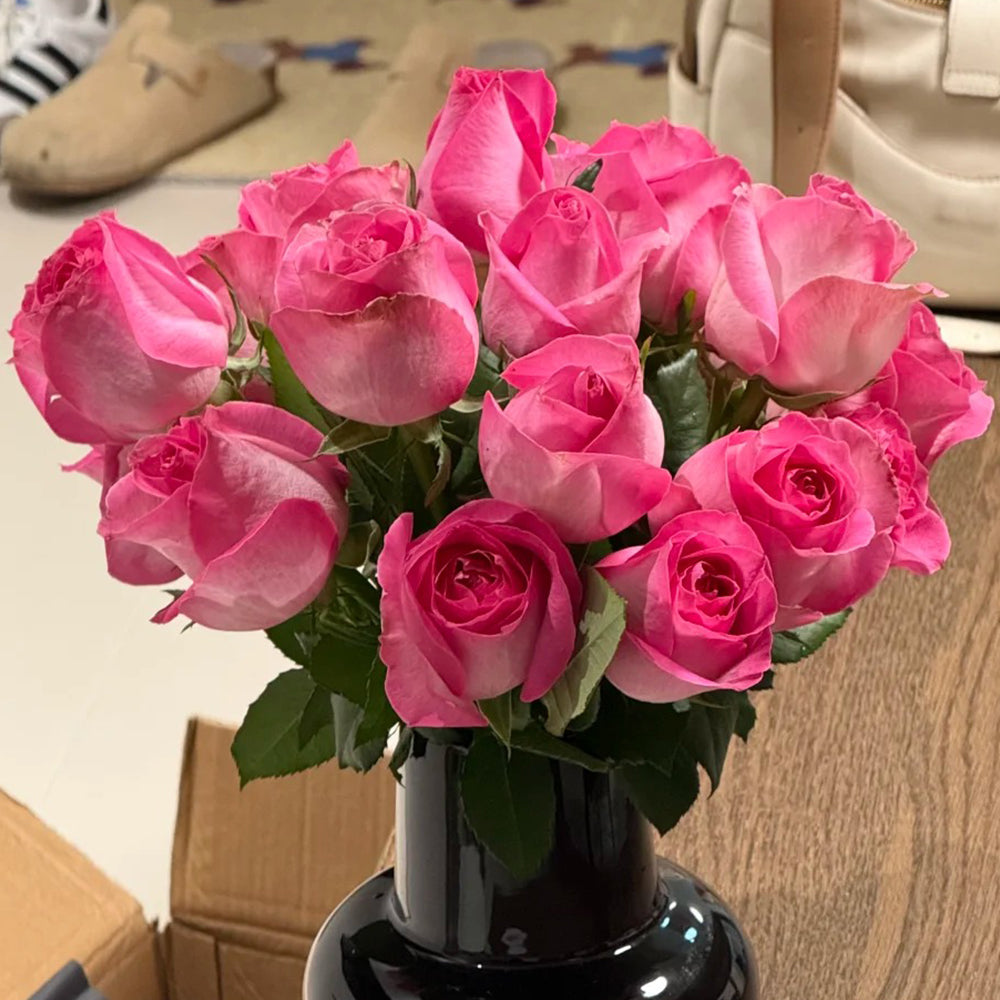 Candy Avalanche Dutch Florist Shrub Rose