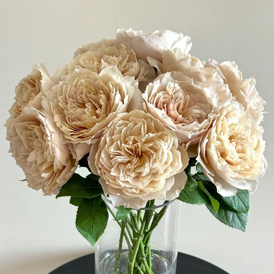 Charlotte Perriand Japanese Florist Shrub Rose