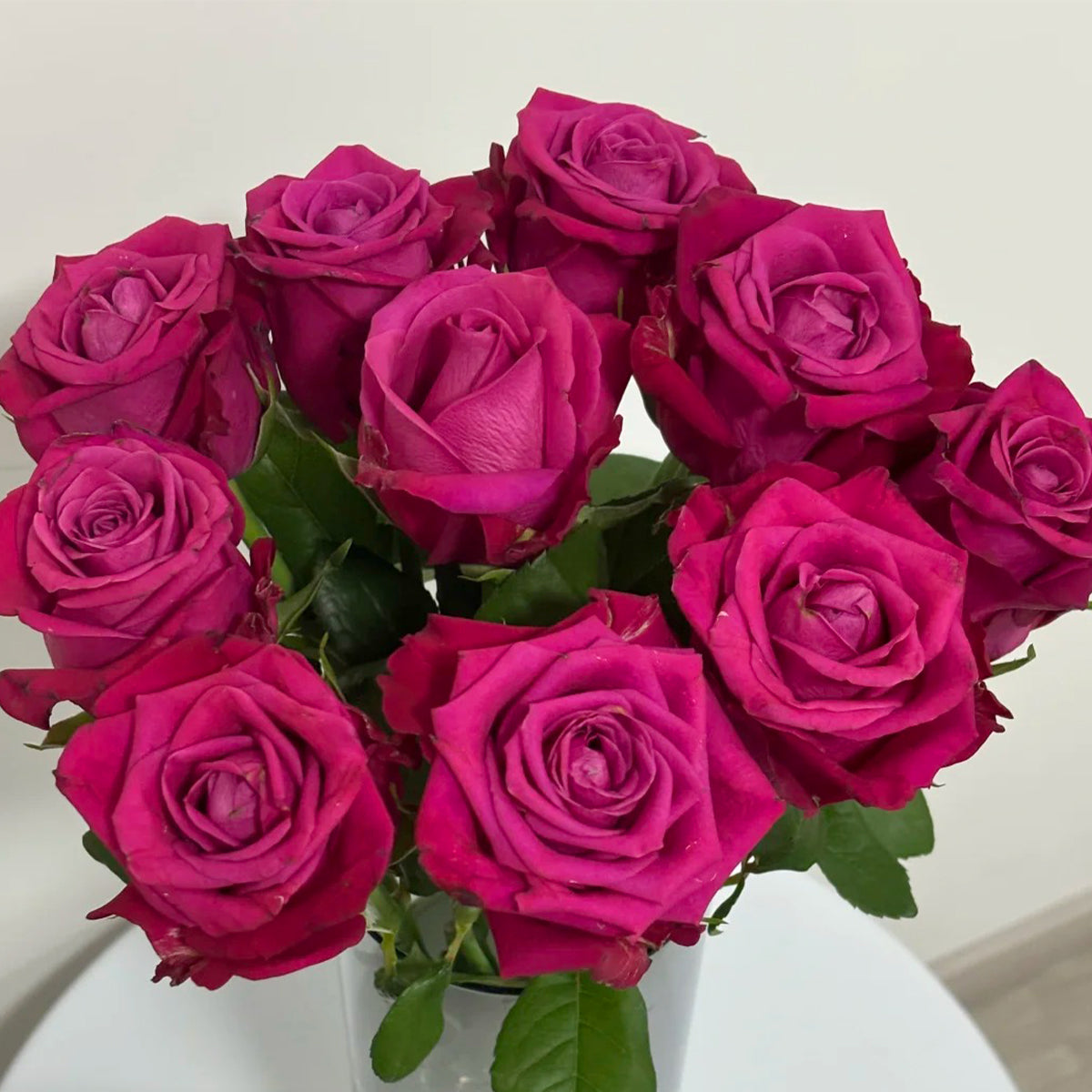 Cherry Gemstone Florist Shrub Rose