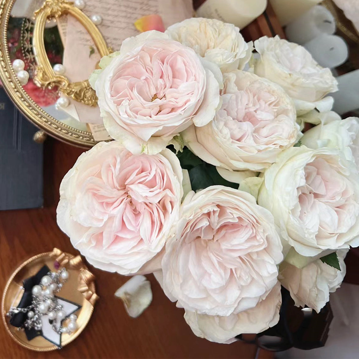 Dutch Florist Shrub Rose Inspired by Chiffon