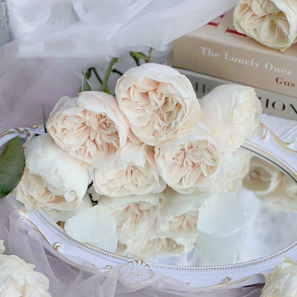 Dutch Florist Shrub Rose Inspired by Chiffon