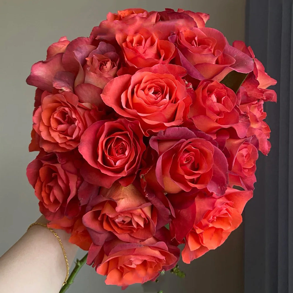German Florist Shrub Rose Inspired by Coffee Break
