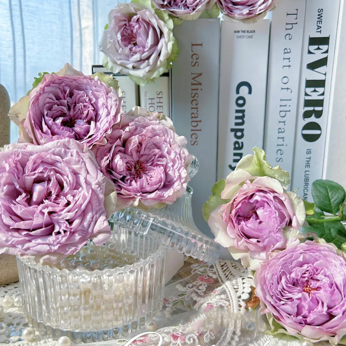 Coffret Japanese Florist Shrub Rose