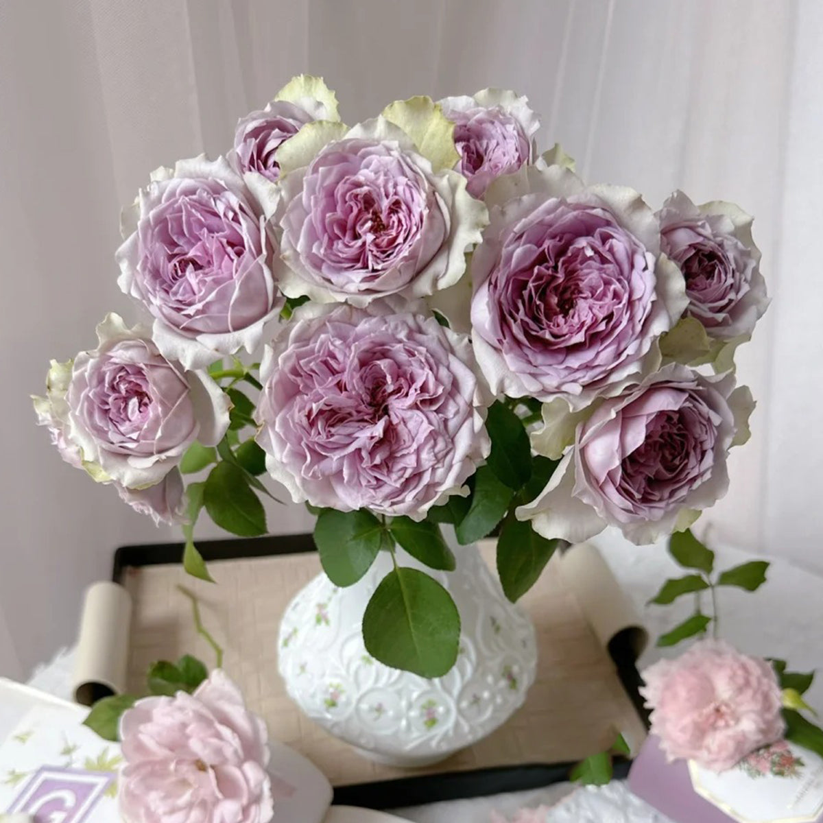 Coffret Japanese Florist Shrub Rose