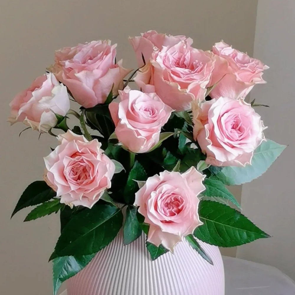 German Florist Hybrid Tea Rose Inspired by Country Spirit Romance
