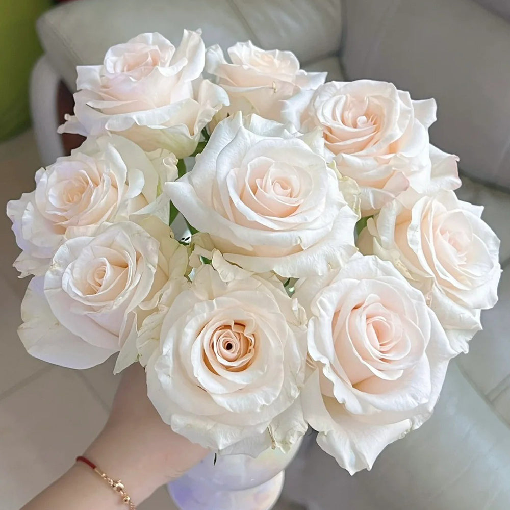 Cynthia Dutch Florist Shrub Rose