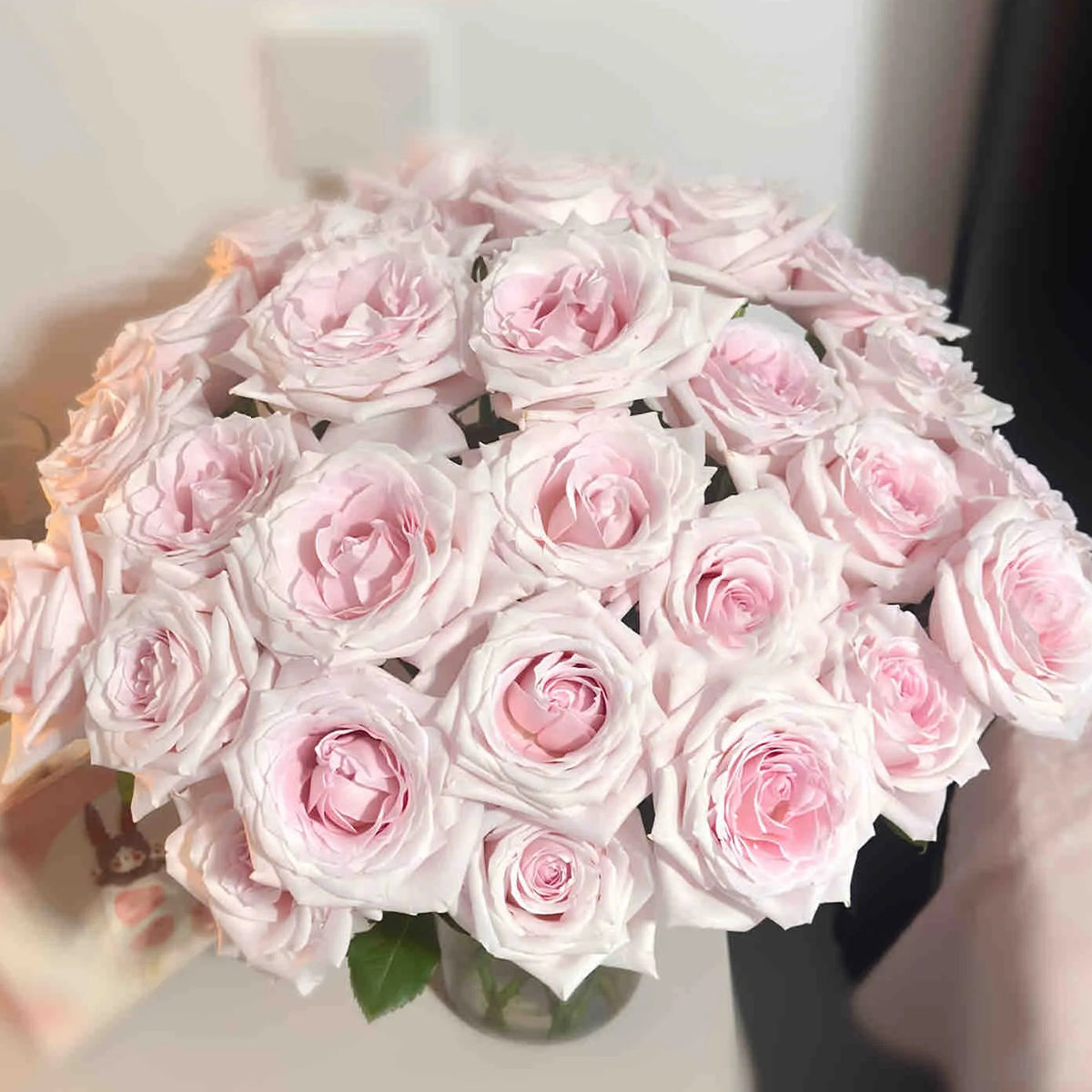 Dainty Parfum German Florist Hybrid Tea Rose