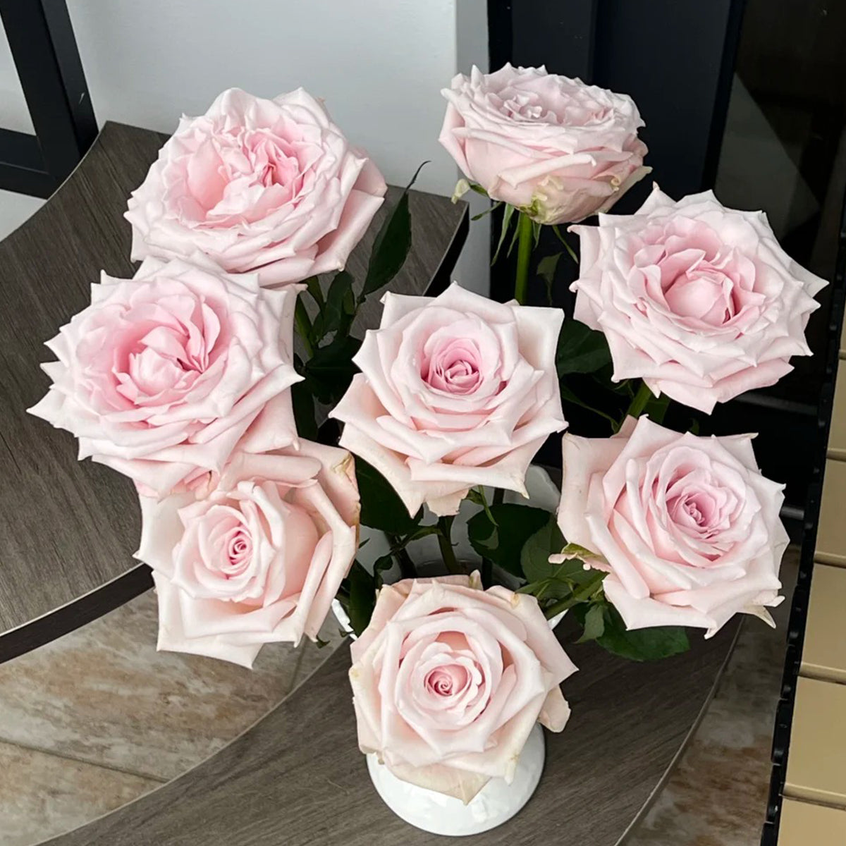 Dainty Parfum German Florist Hybrid Tea Rose