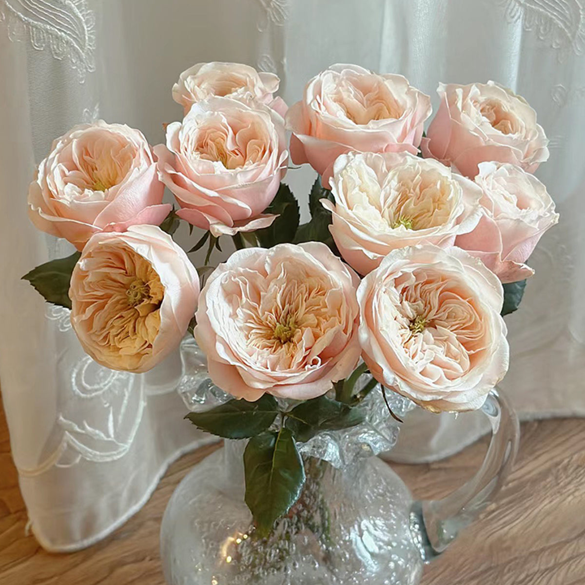 Dutch Florist Shrub Rose Inspired by Darlington