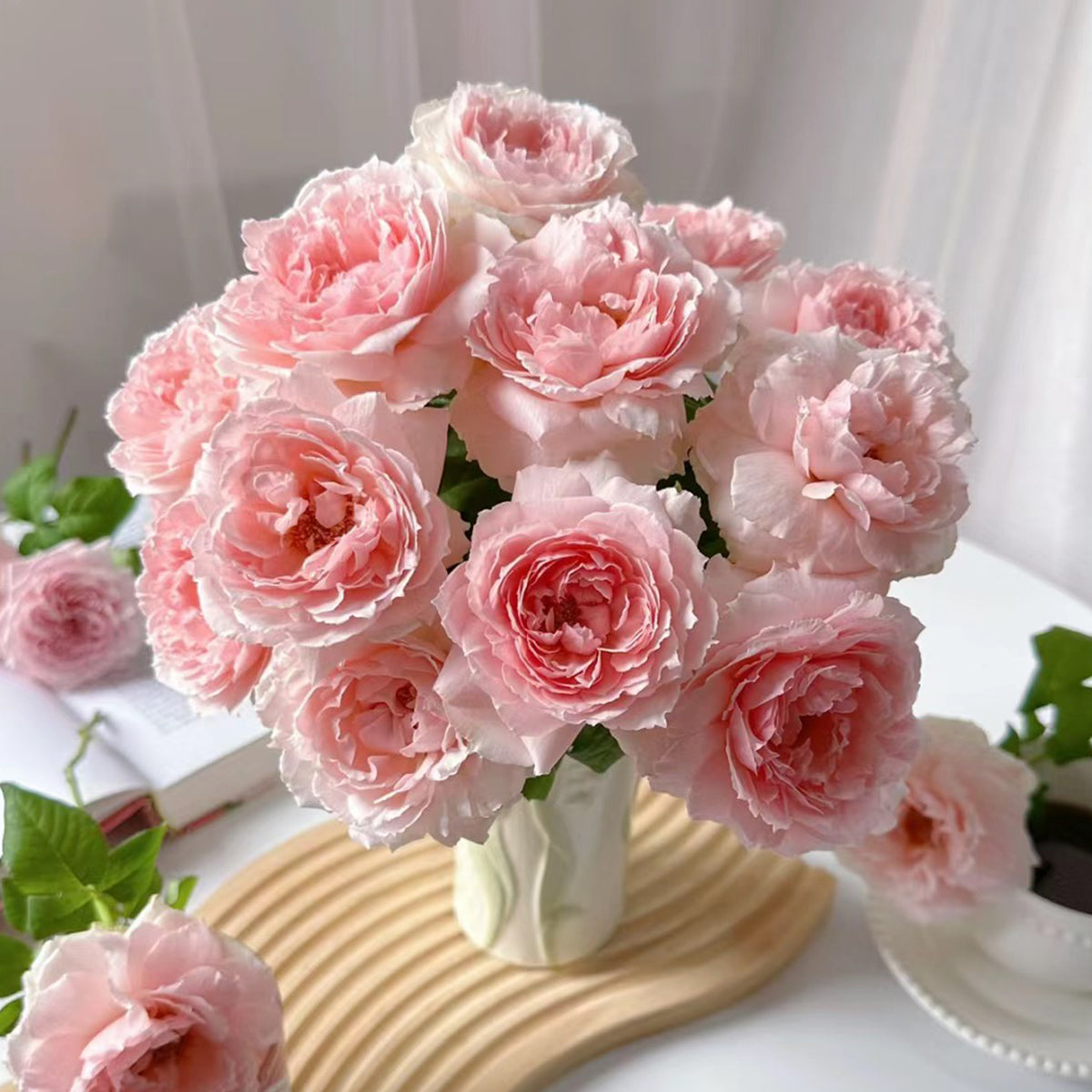 Elegant Dress Japanese Florist Shrub Rose
