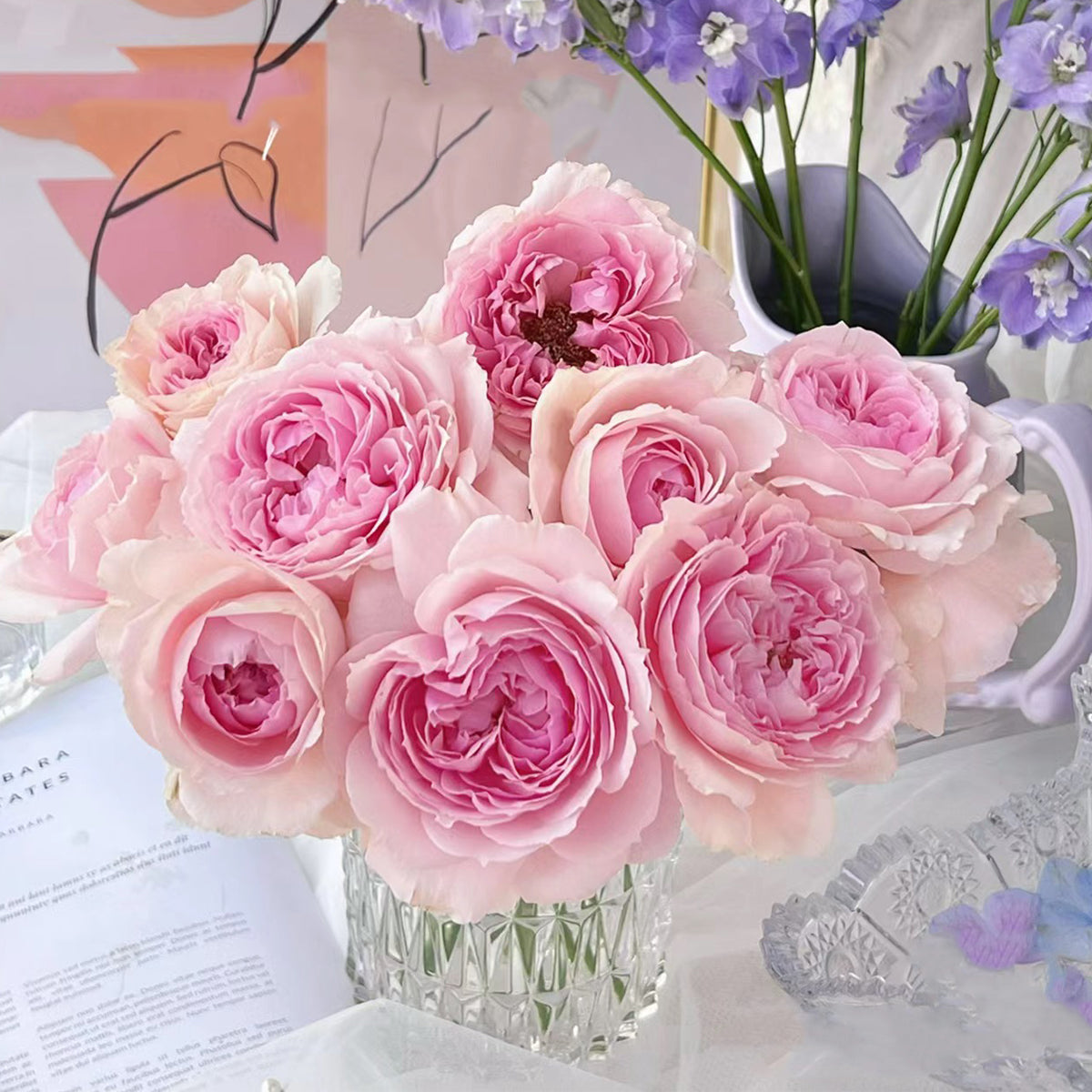 Elegant Dress Japanese Florist Shrub Rose