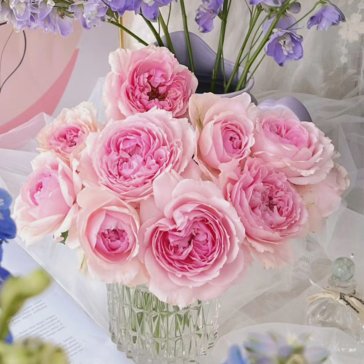 Elegant Dress Japanese Florist Shrub Rose