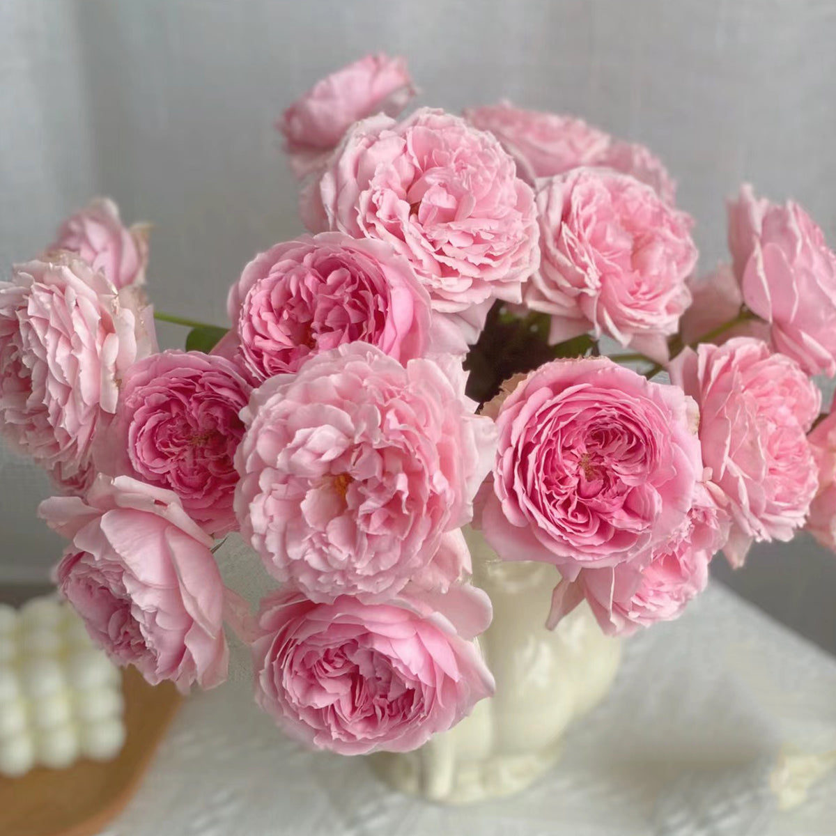 Elegant Dress Japanese Florist Shrub Rose