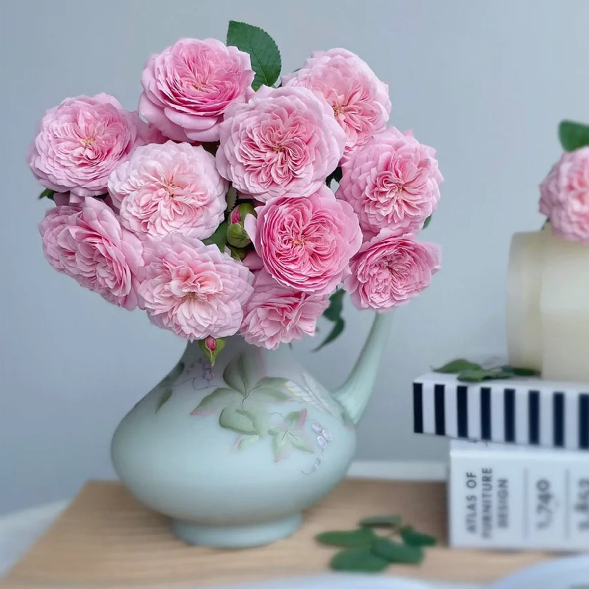 Filer Japanese Florist Shrub Rose