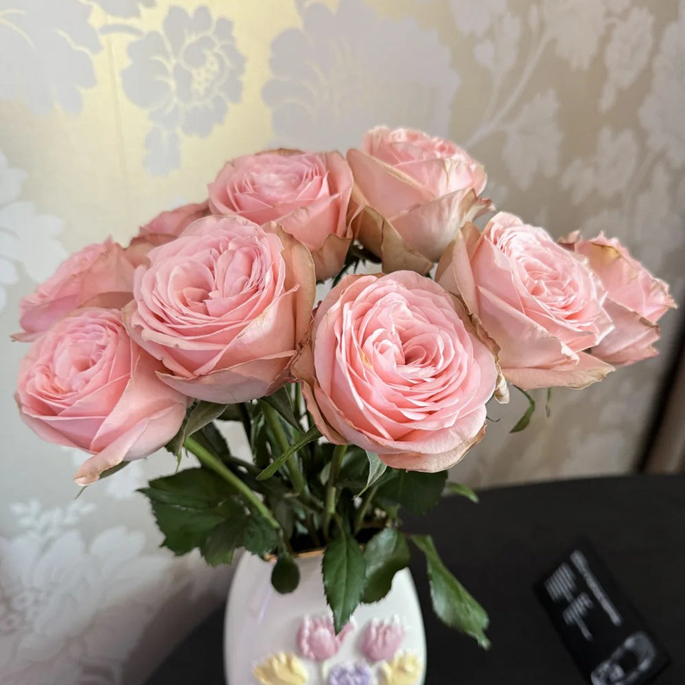French Florist Shrub Rose Inspired by Garden Fashion