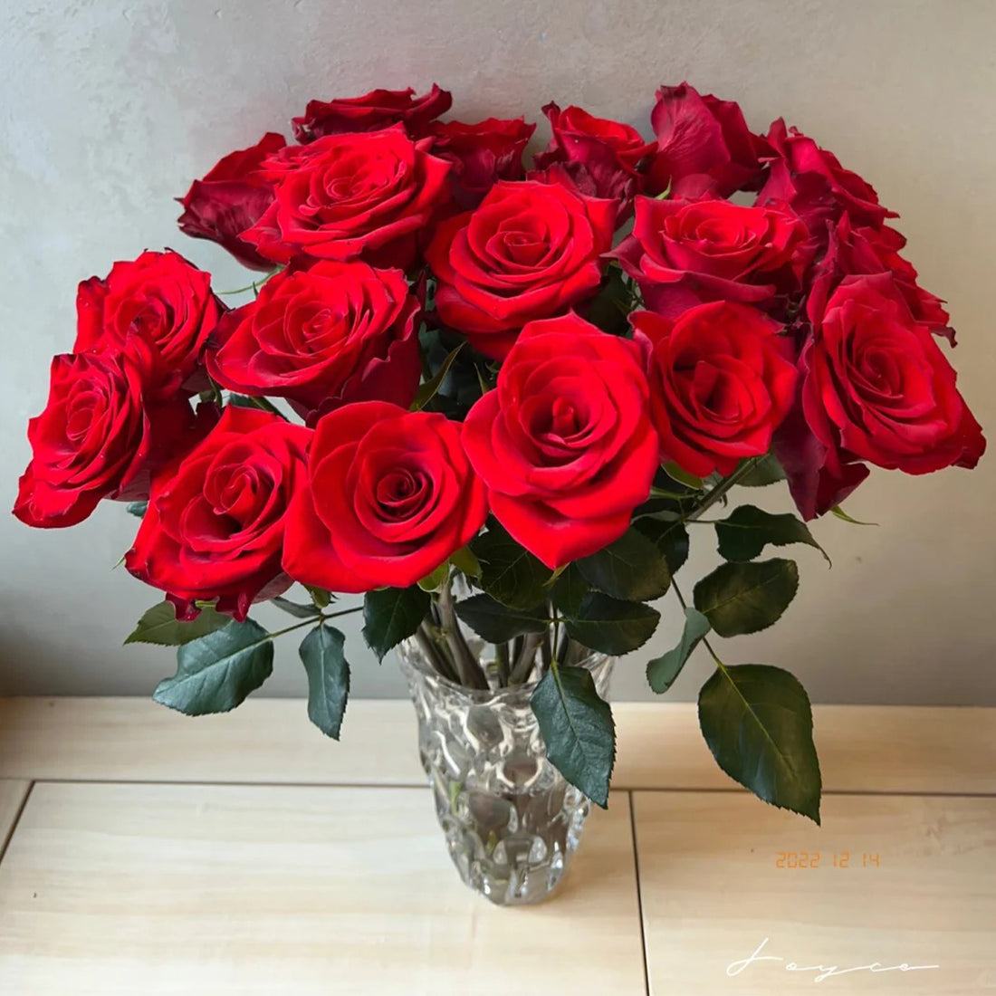 Goddess of the Fire Florist Shrub Rose