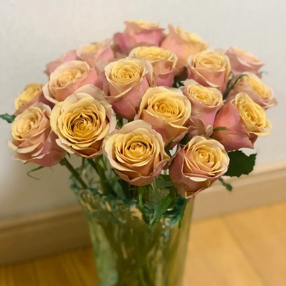 Dutch Florist Shrub Rose Inspired by Golden Mustard