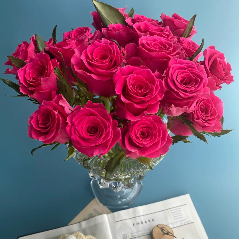 Dutch Florist Shrub Rose Inspired by Gotcha