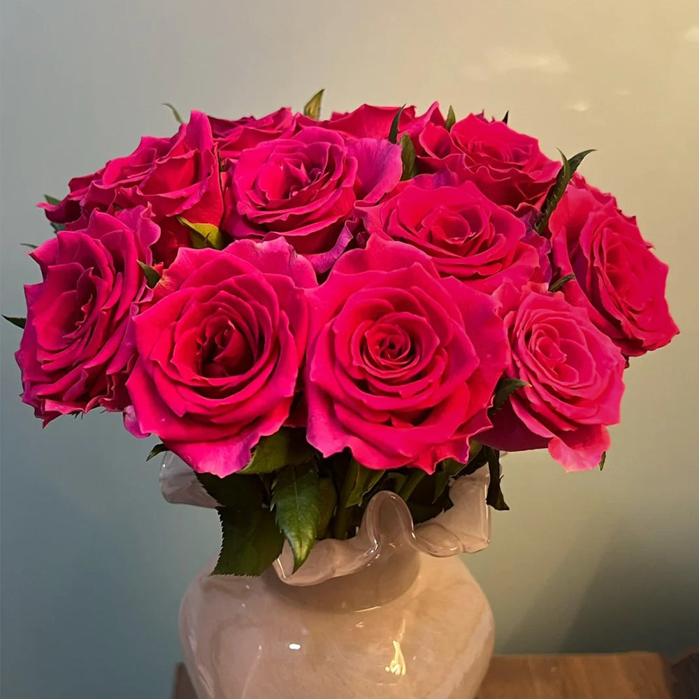 Dutch Florist Shrub Rose Inspired by Gotcha