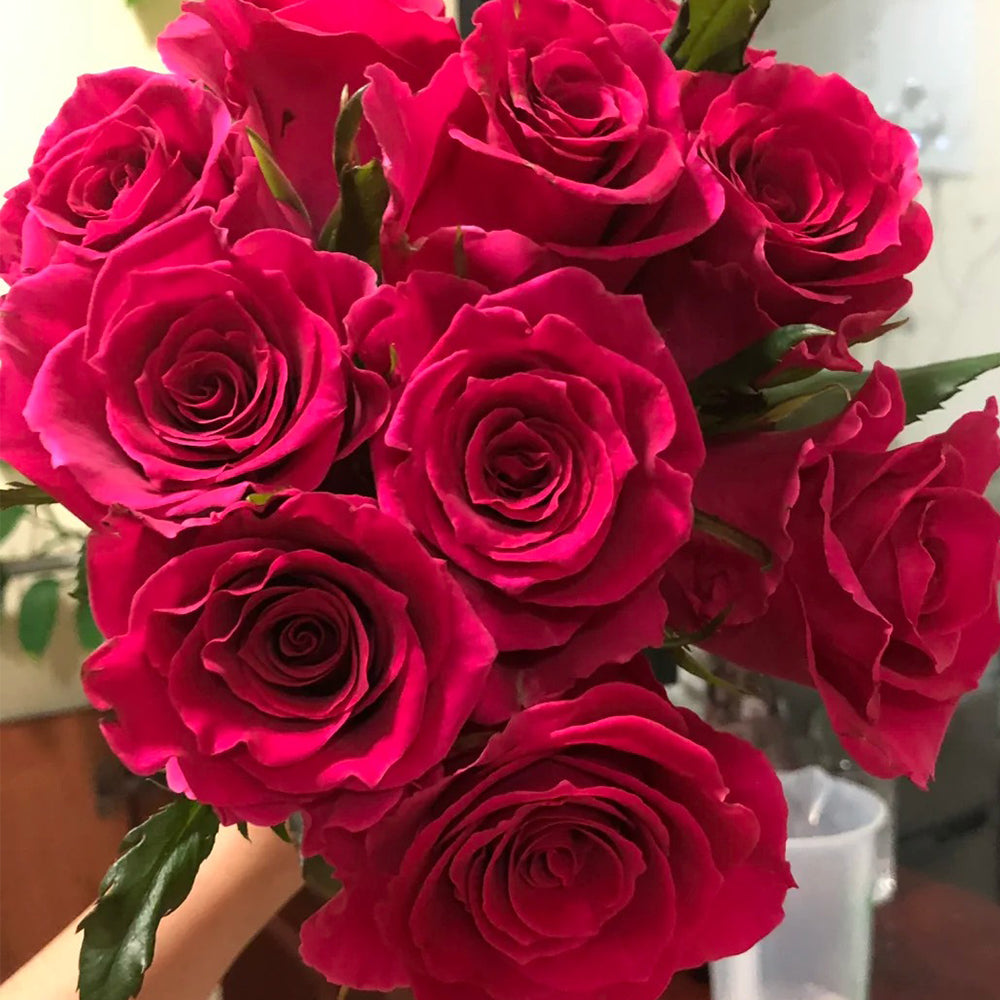Dutch Florist Shrub Rose Inspired by Gotcha