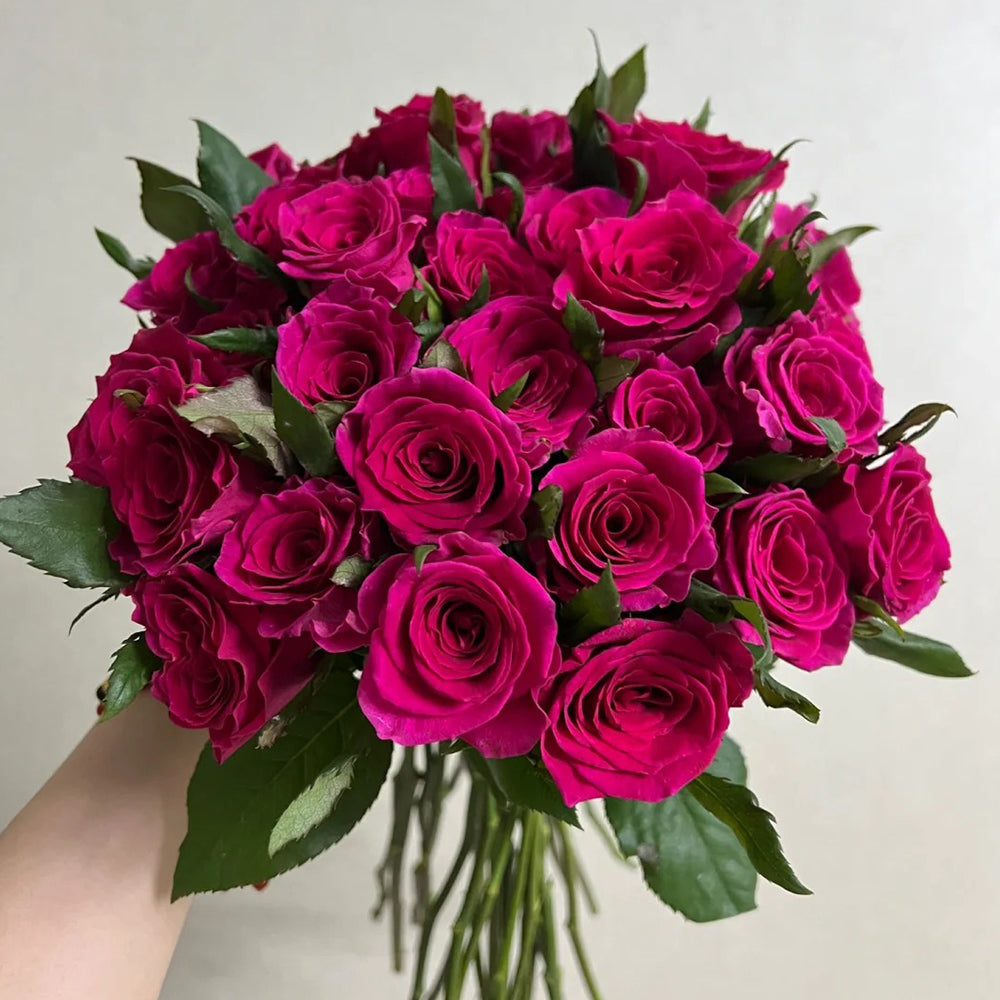 Dutch Florist Shrub Rose Inspired by Gotcha