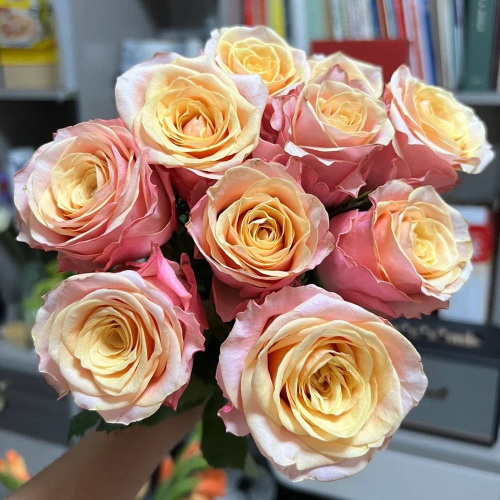 French Florist Shrub Rose Inspired by Gran Donna