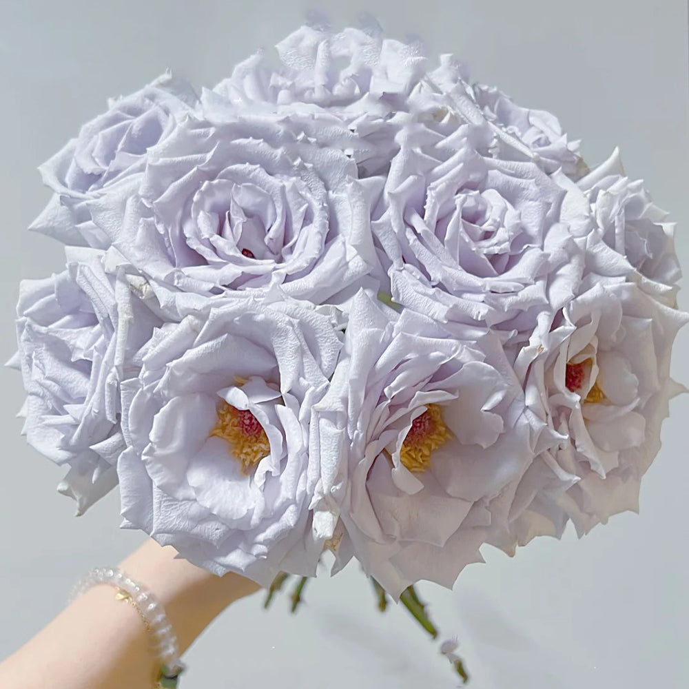 Grawn Blue Japanese Florist Hybrid Tea Rose