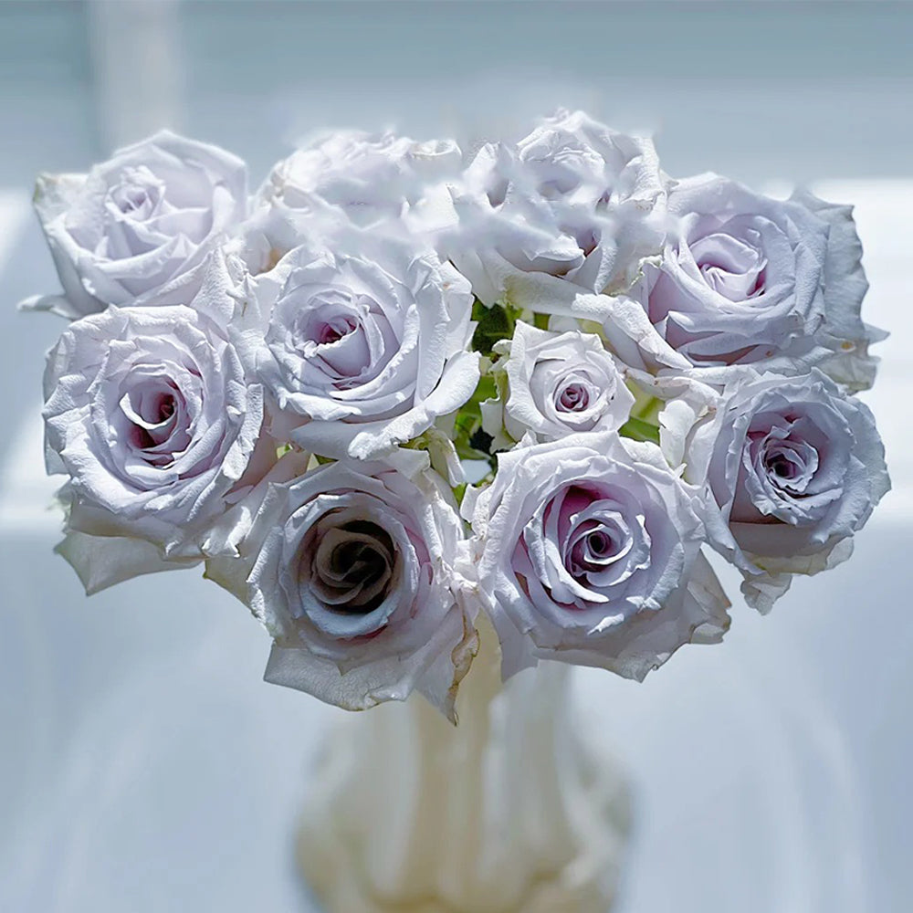 Grawn Blue Japanese Florist Hybrid Tea Rose